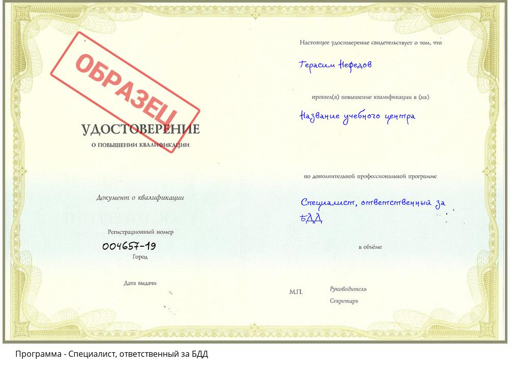 Специалист, ответственный за БДД Усолье-Сибирское