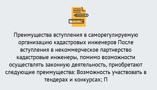 Почему нужно обратиться к нам? Усолье-Сибирское Что дает допуск СРО кадастровых инженеров?