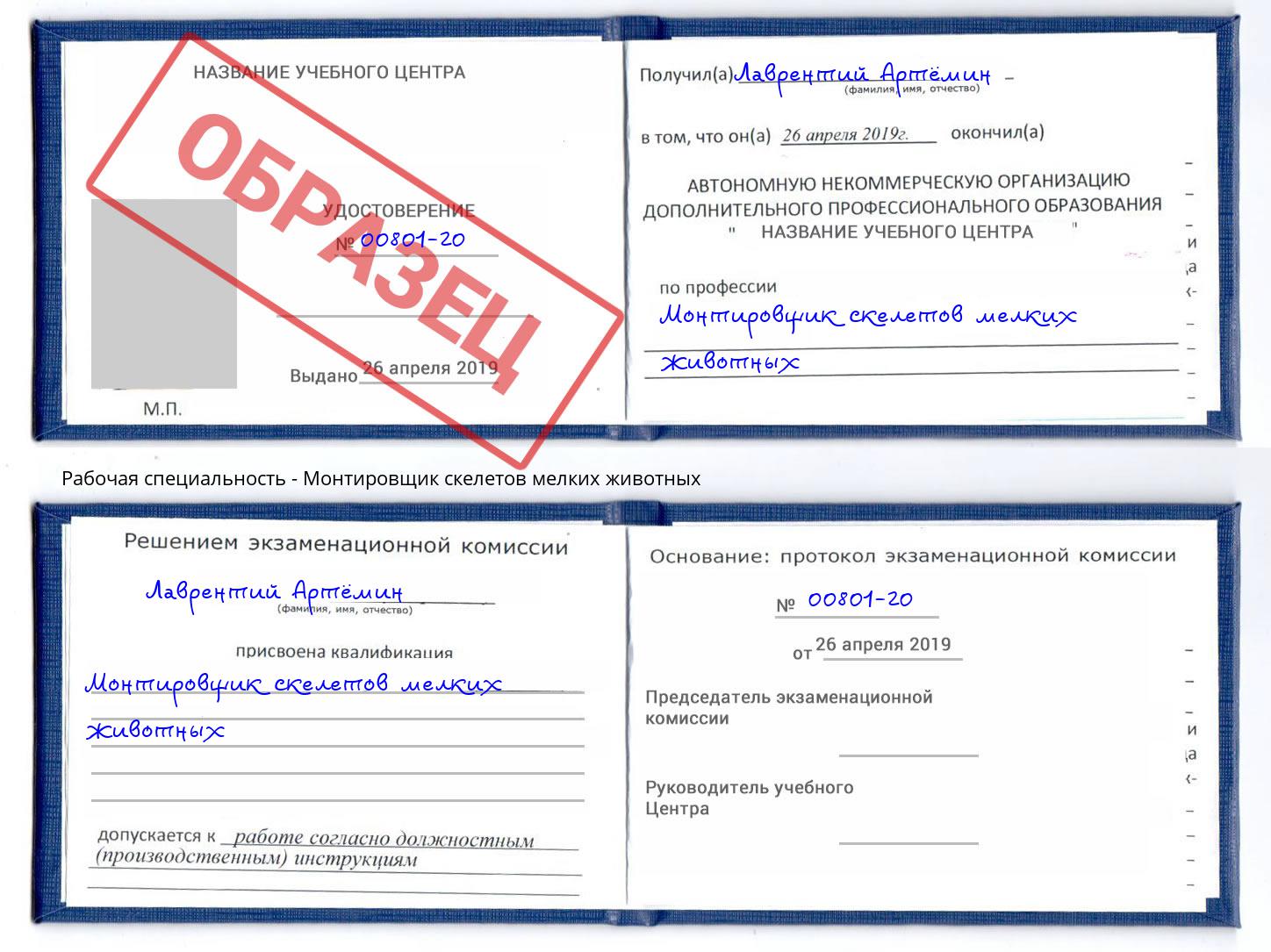 Монтировщик скелетов мелких животных Усолье-Сибирское