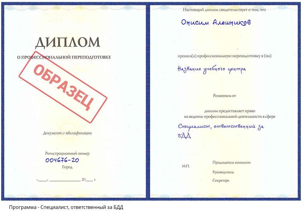 Специалист, ответственный за БДД Усолье-Сибирское