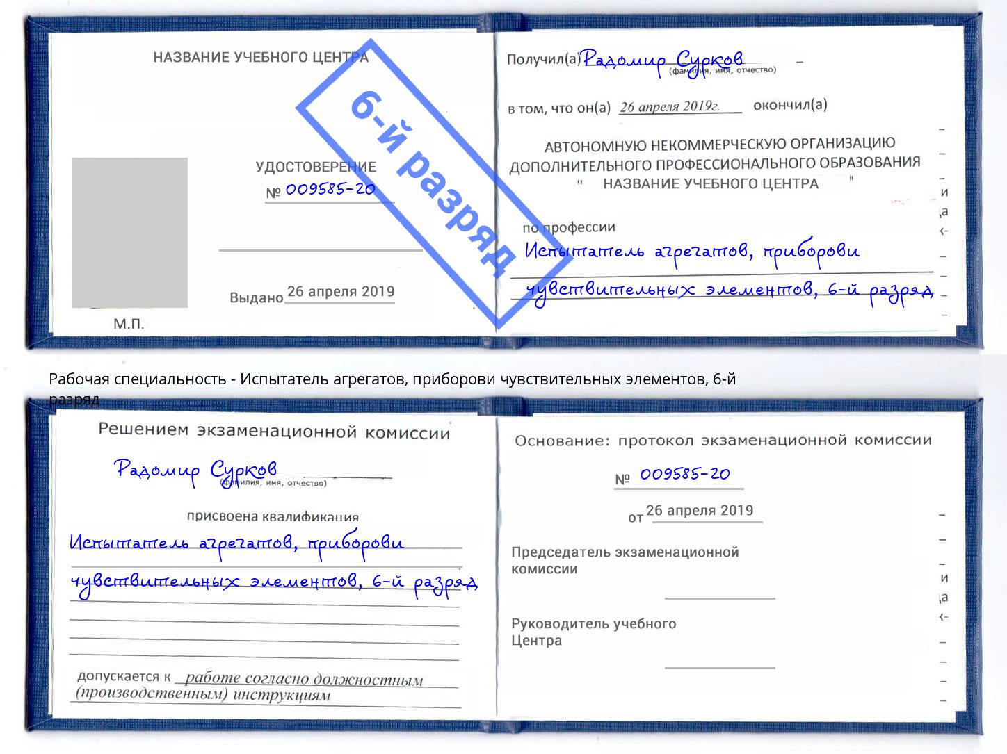 корочка 6-й разряд Испытатель агрегатов, приборови чувствительных элементов Усолье-Сибирское