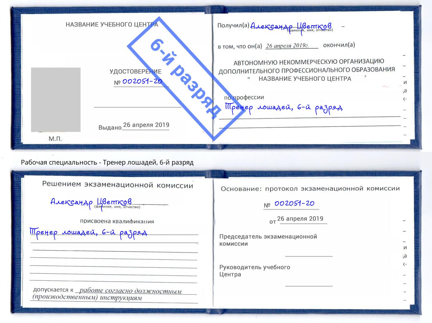 корочка 6-й разряд Тренер лошадей Усолье-Сибирское