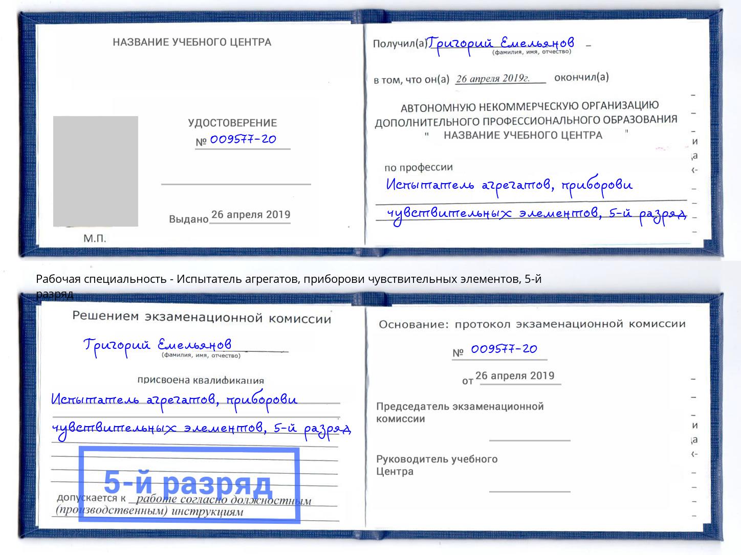 корочка 5-й разряд Испытатель агрегатов, приборови чувствительных элементов Усолье-Сибирское
